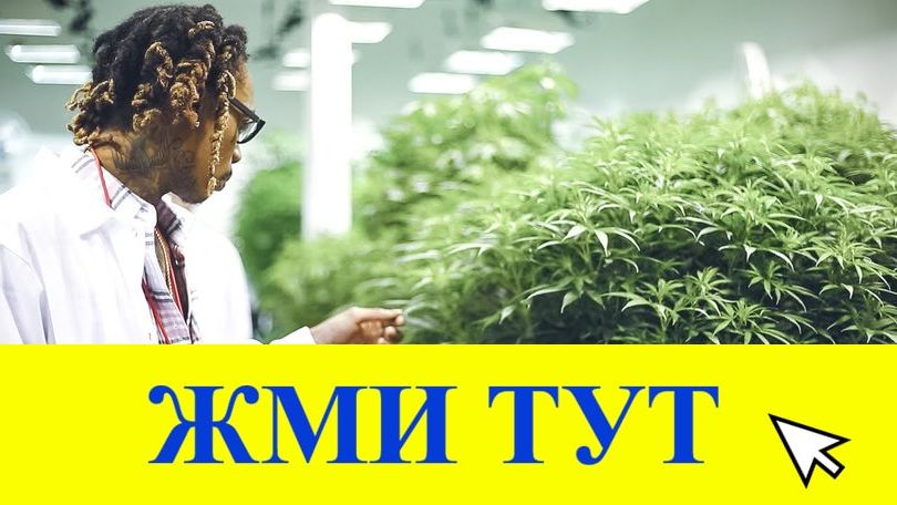 Купить наркотики в Новосибирске